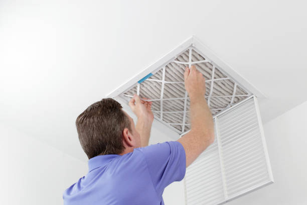 Best Affordable Duct Cleaning Services  in Princeton, MN